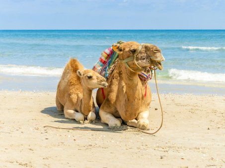 De ce să alegi Hurghada ca destinație de vacanță?