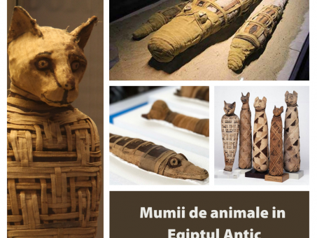 Mumii de animale