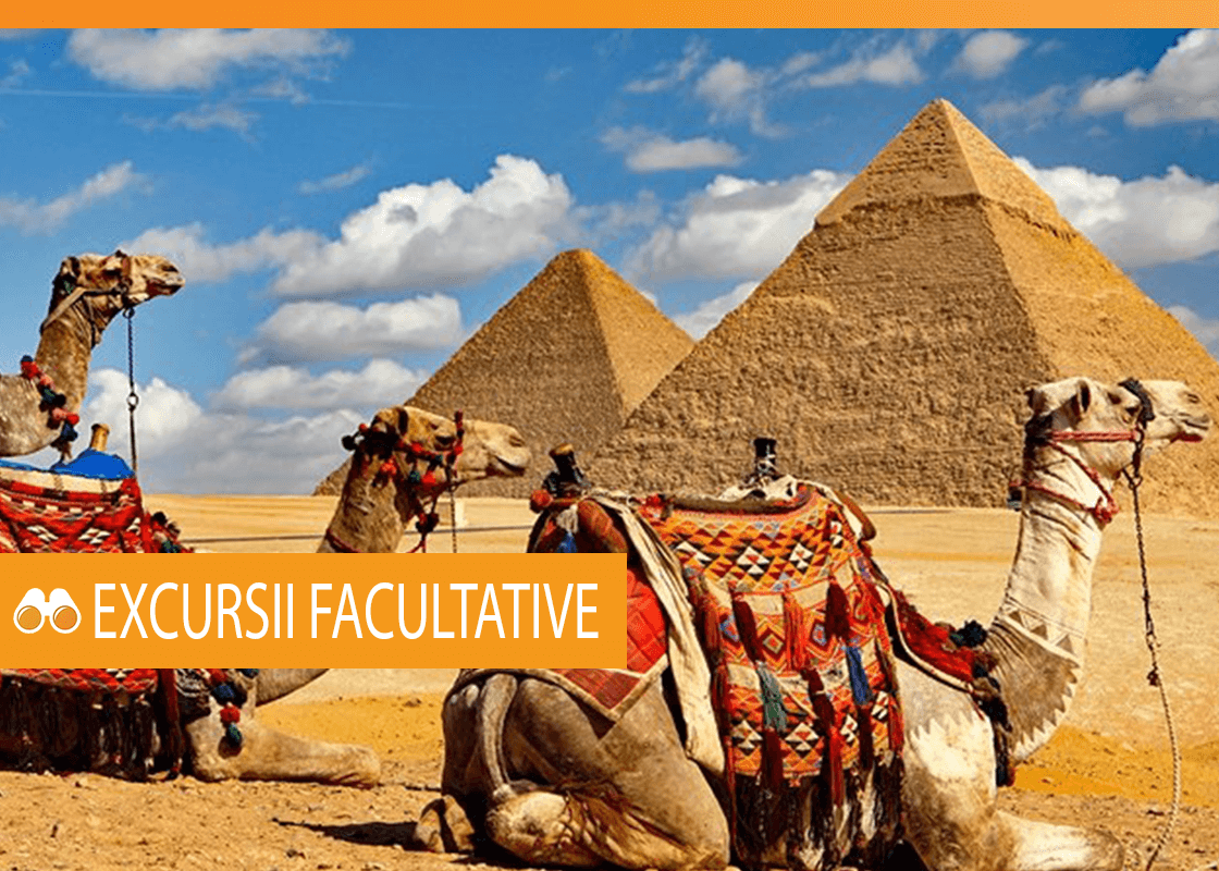 Excursii facultative