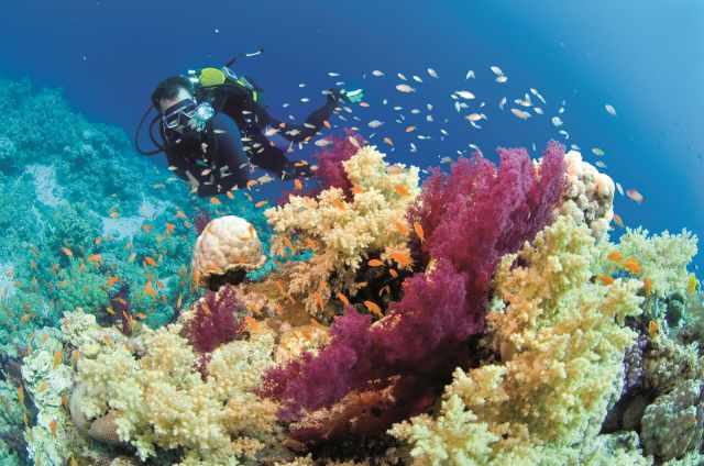 scufundari hurghada