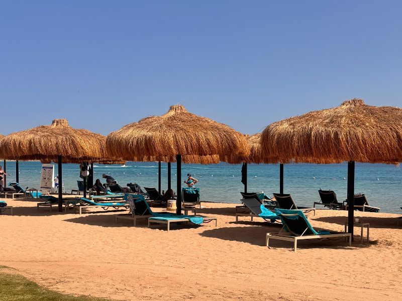 Cum arată o vacanță în Egipt astăzi: experiența echipei internaționale de marketing ETI