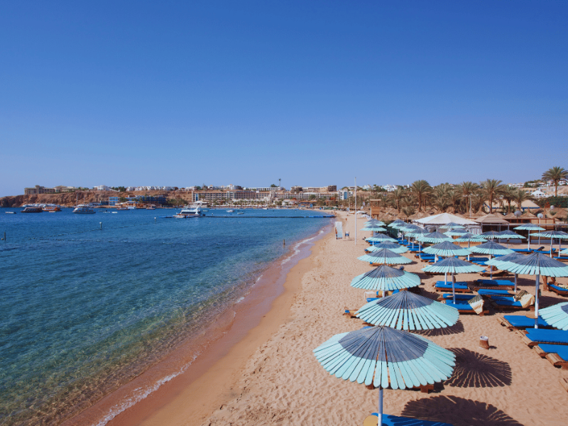 Sharm el Sheikh plaja nisip fin 